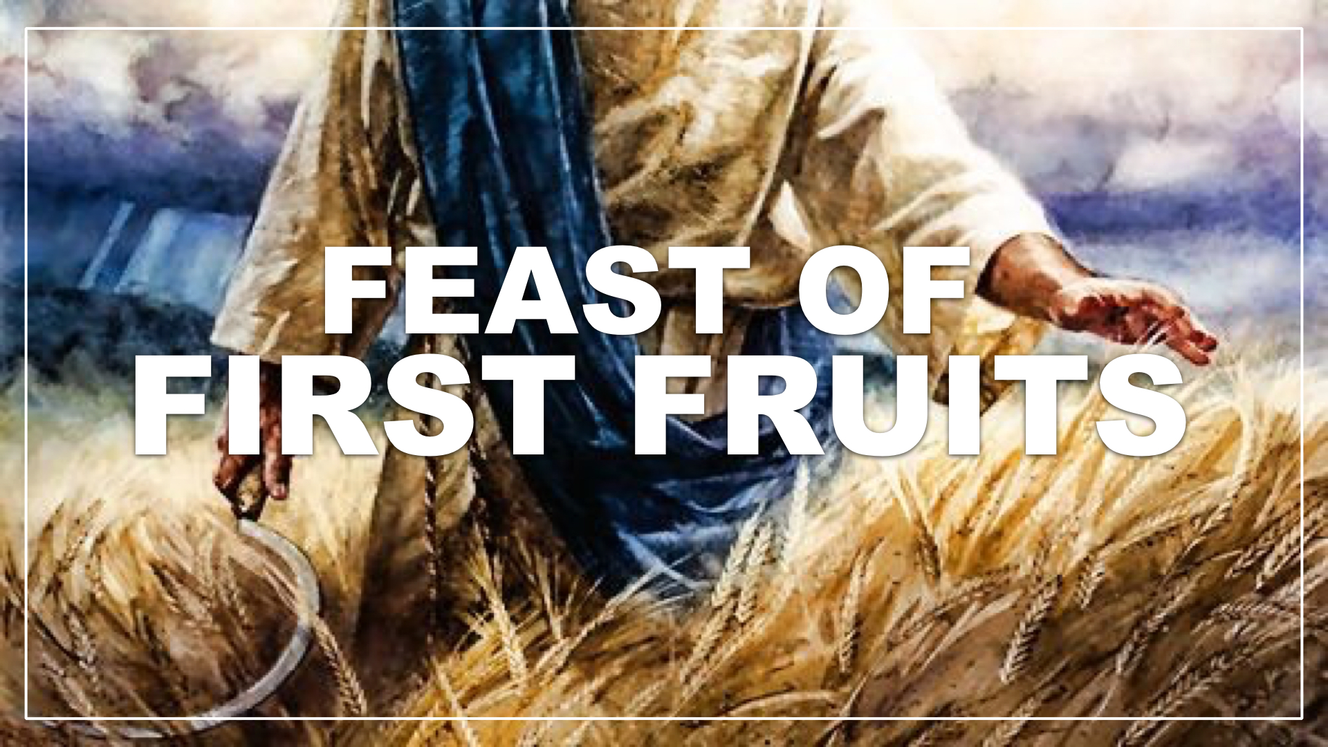 Feast Of Weeks1 The Harvest Is Almost Ready Are You